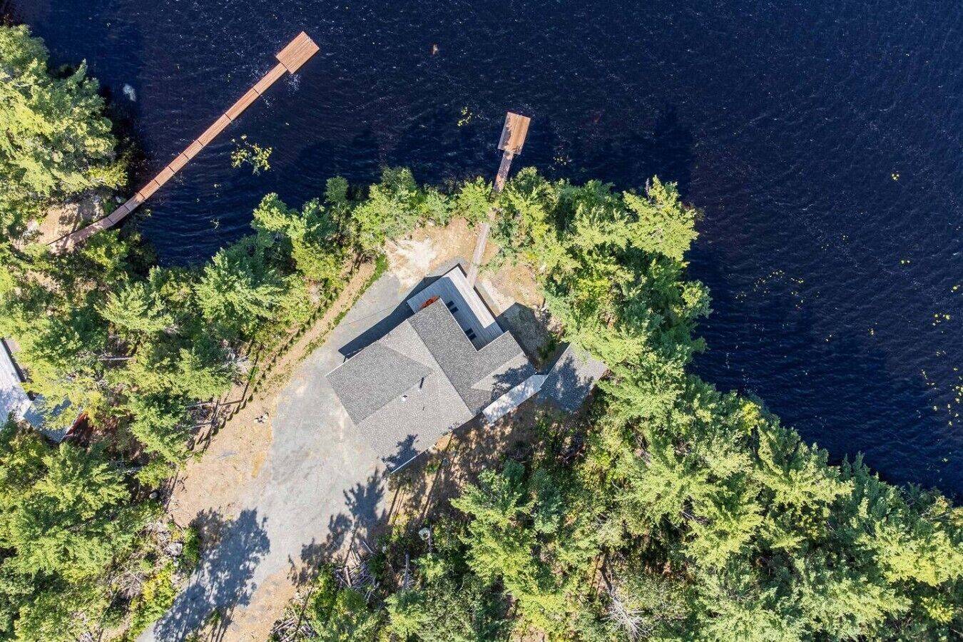 A dock extending into a body of water, surrounded by dense green foliage.