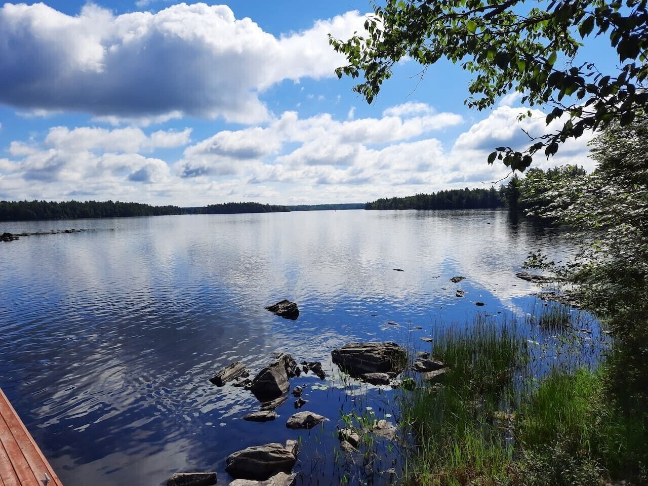 A calm lake with a wooden dock extending into the water, surrounded by trees and a clear sky.