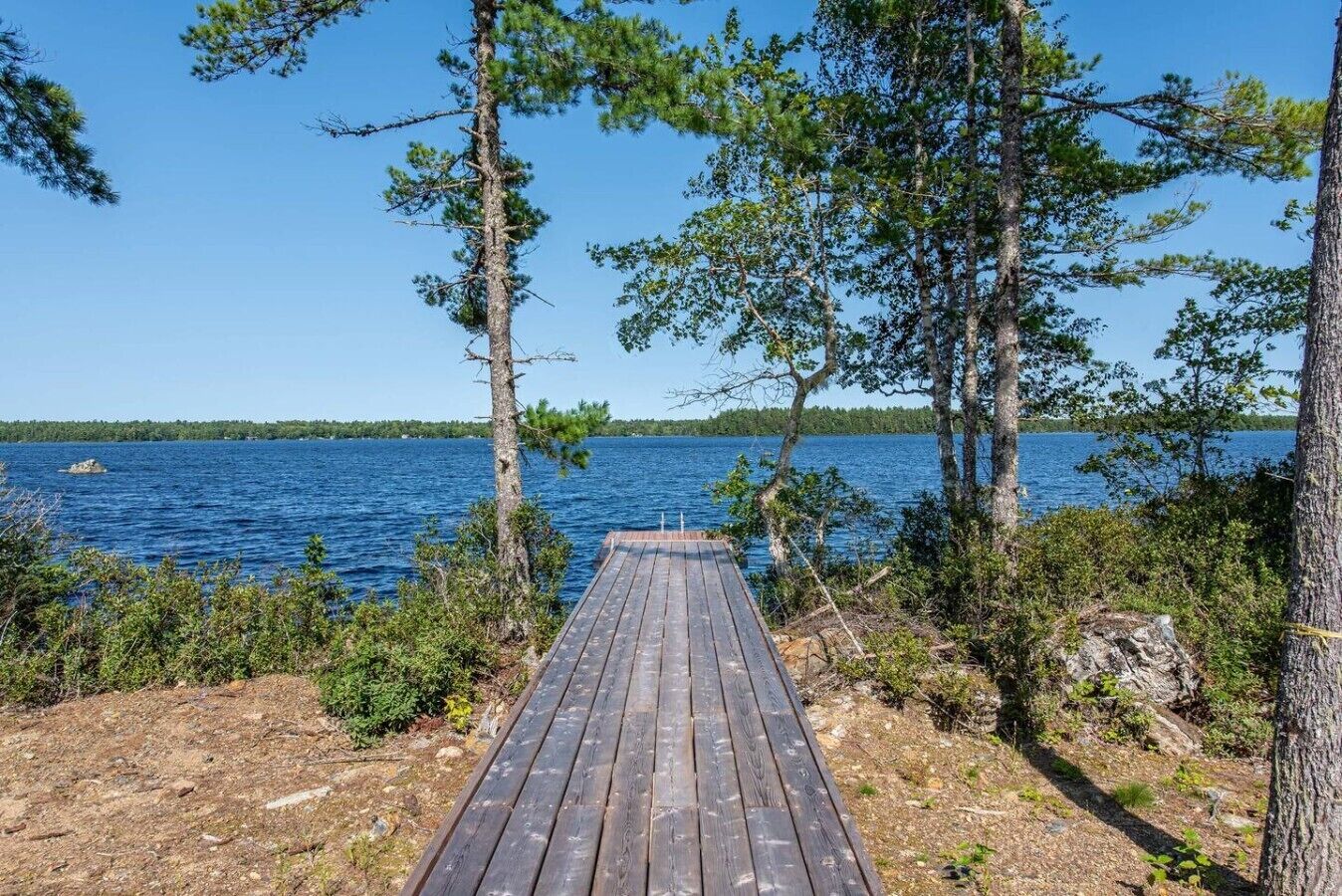 Una terraza de madera que da a un lago, rodeado de árboles y arbustos.