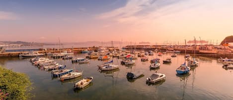 Marina