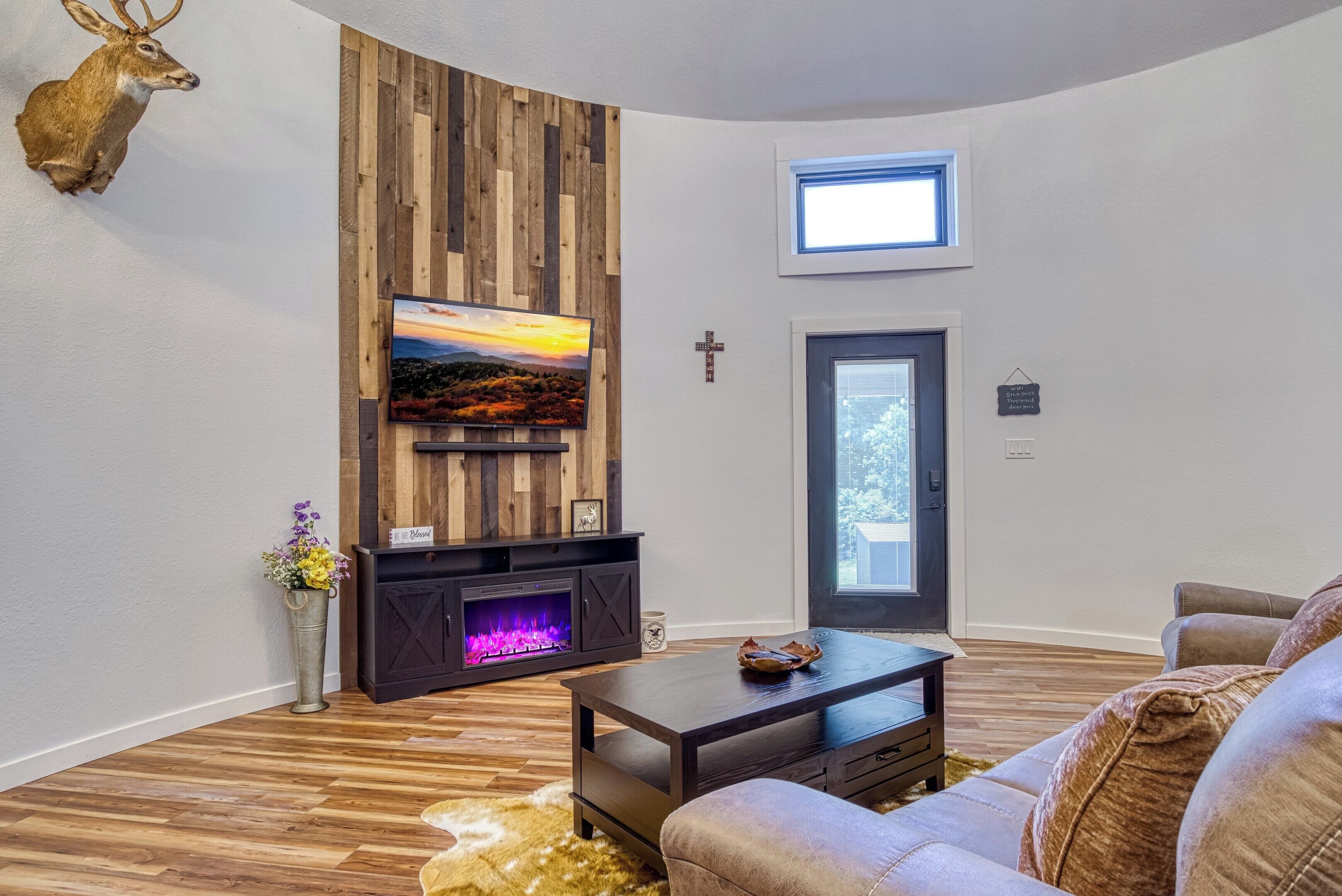 Smart TV, fireplace, DVD player, books