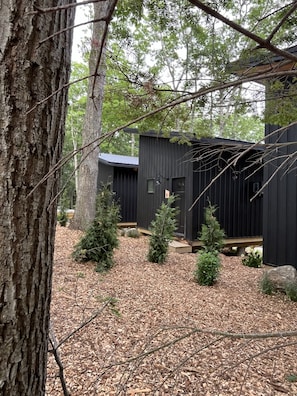 Property grounds - New build! Beach cabin in the trees & onsite sauna (Stockton Springs)