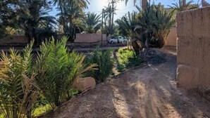A dirt path leading to a building with palm trees and other vegetation.