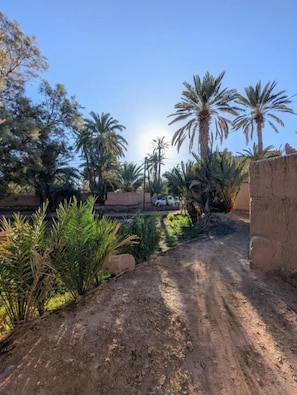 Property grounds - The Guests Haven House - Heart Of Skoura (Skoura)