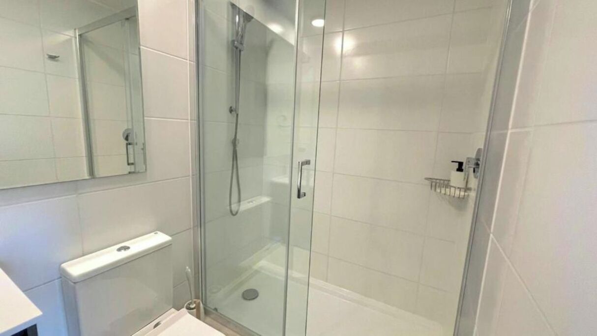 A glass-enclosed shower with a handheld showerhead, a toilet, and a mirror on the wall.