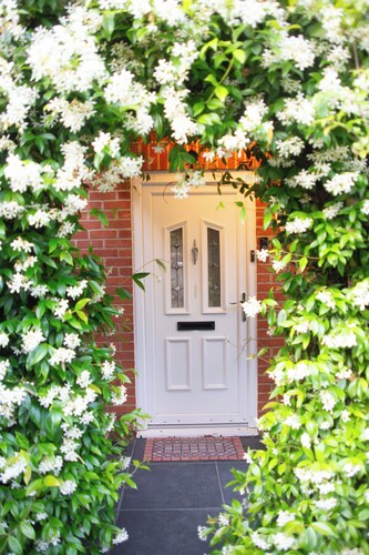 Light‑Filled 4‑Bedroom Home with Lake & Forest on Your Doorstep