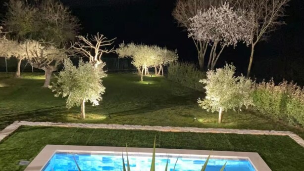 Piscina rectangular con superficie de agua azul cristalina, rodeada por un césped cuidado y árboles iluminados.
