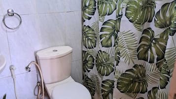Shower, towels, soap, toilet paper