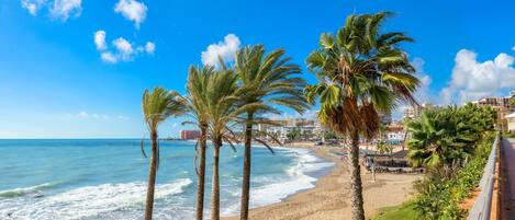 Een strand met palmbomen, een zandstrand en een helderblauwe lucht.