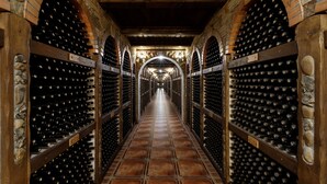 A wine cellar with rows of wine bottles, stone walls, and wooden beams. - Hotel Chateau Cojusna (Cojușna)