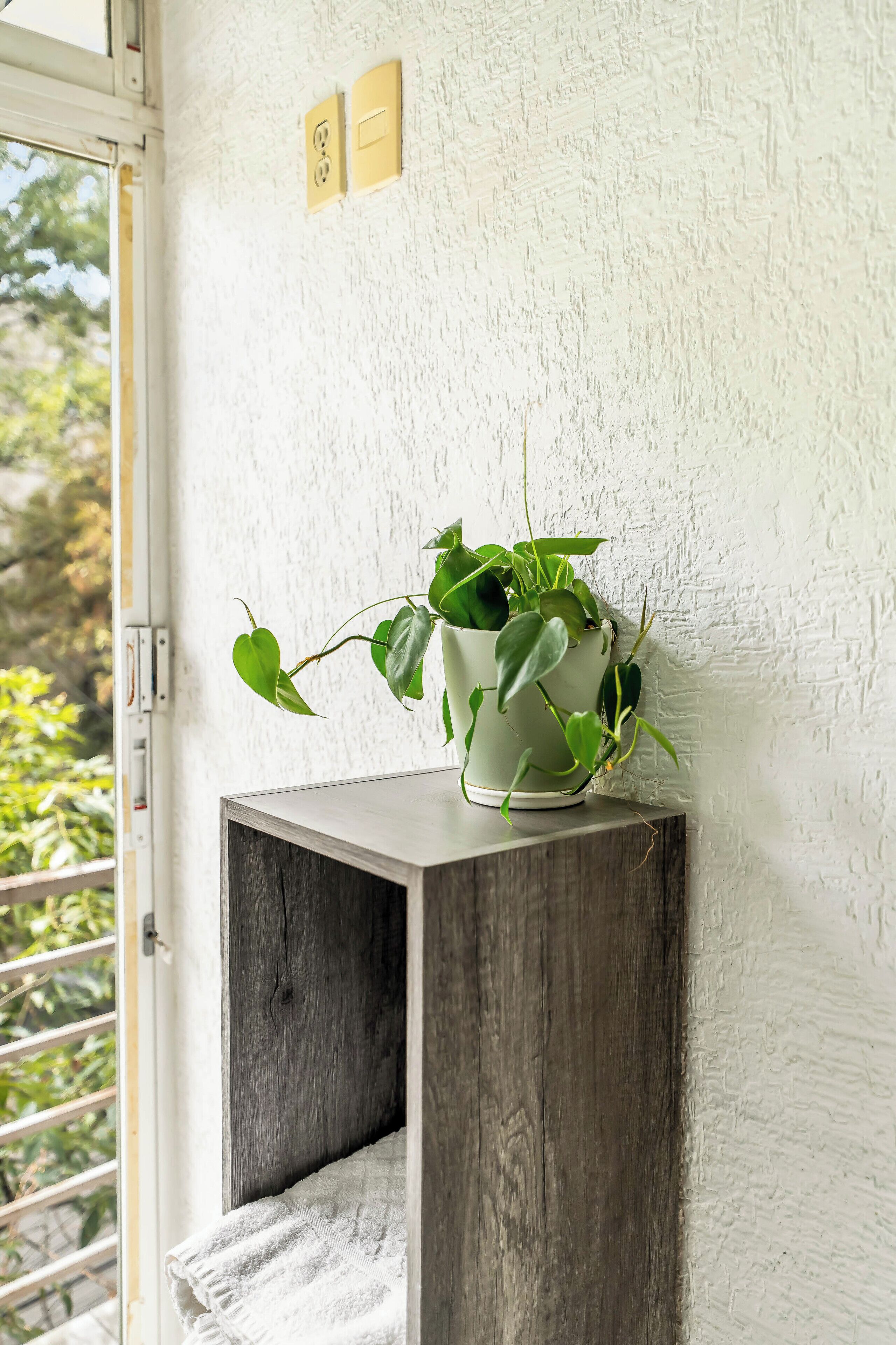 Un coin avec une plante en pot sur une étagère en bois, une serviette blanche et une fenêtre avec des stores.