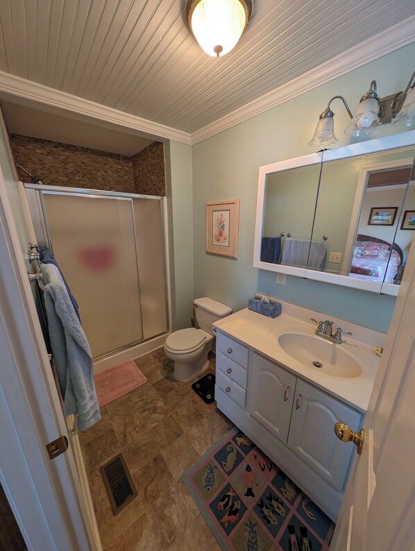 Een badkamer met douche, toilet, wastafel en spiegel met een lamp erboven.