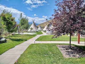 A pathway leading to teepees, with a tree and a rock in the foreground.