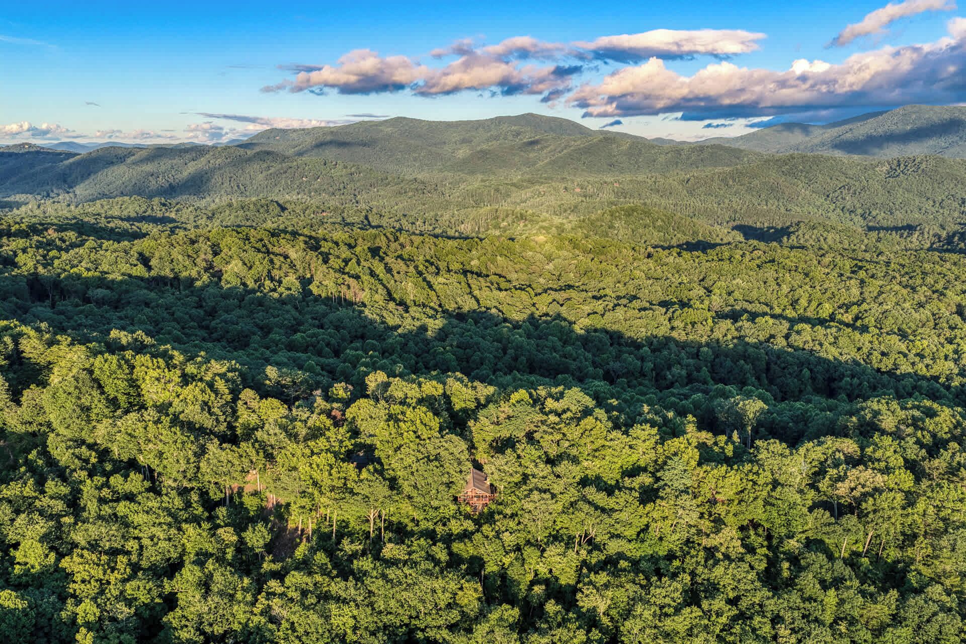 A forested landscape with a cabin.