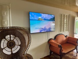Una habitación con una televisión mostrando una escena de playa, una silla de mimbre y un sofá decorado.