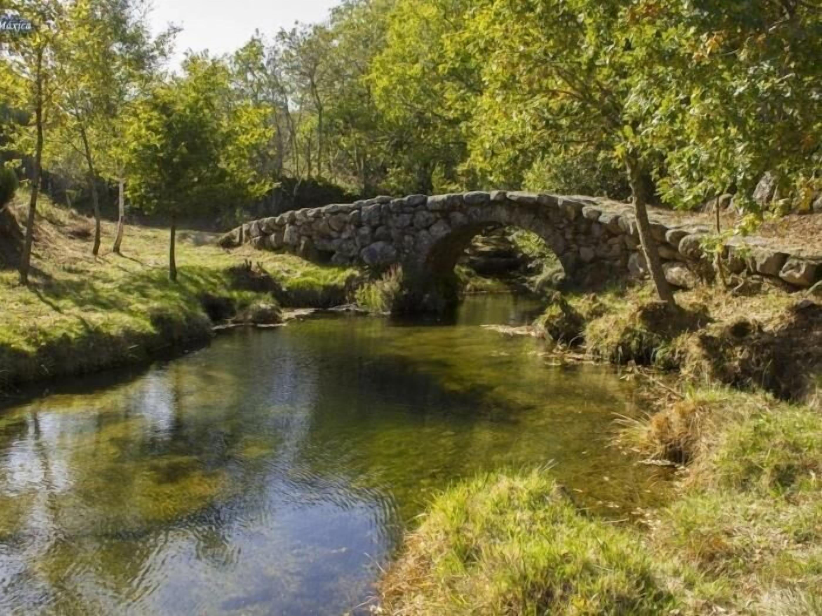 A stone bridge over a calm stream in a wooded area.