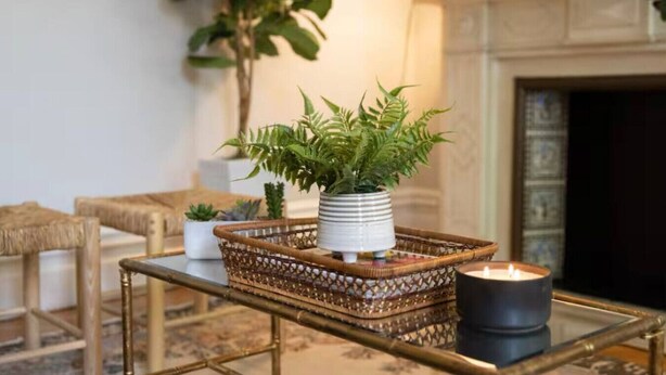 Un salón acogedor con una mesita de centro, una planta en maceta y una vela.