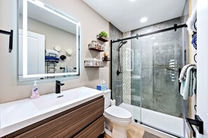 Hair dryer, towels, soap, toilet paper
