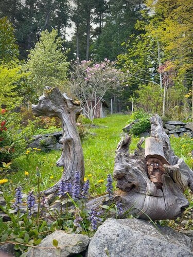 Forest Grove on Orcas: A Cozy Naturalist Retreat
