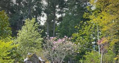 Forest Grove on Orcas: A Cozy Naturalist Retreat
