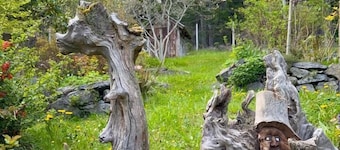 Forest Grove on Orcas: A Cozy Naturalist Retreat