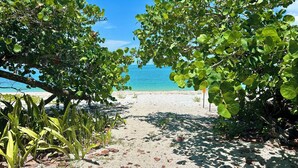 A pathway leading to a beach with clear blue water, surrounded by green foliage. - Beachfront Secluded Sunset Sanctuary with Panoramic Views (Captiva)