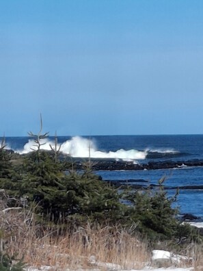 A coastal landscape with waves crashing against rocks, a clear sky, and dense vegetation in the foreground. - "Oceanfront Cottage Rental"
Route 235 Bonavista Bay,NL (Hodderville)
