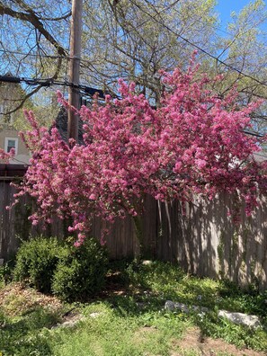 Property grounds - Spacious 4-bedroom house in peaceful Wichita with AC (Wichita)