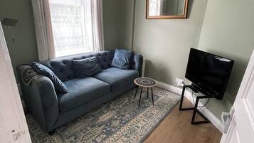 A living room with a blue sofa, a patterned rug, a television on a stand, and a ceiling light fixture.