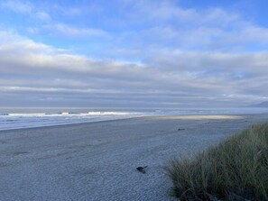 A beach with sand and waves, and some vegetation in the foreground.