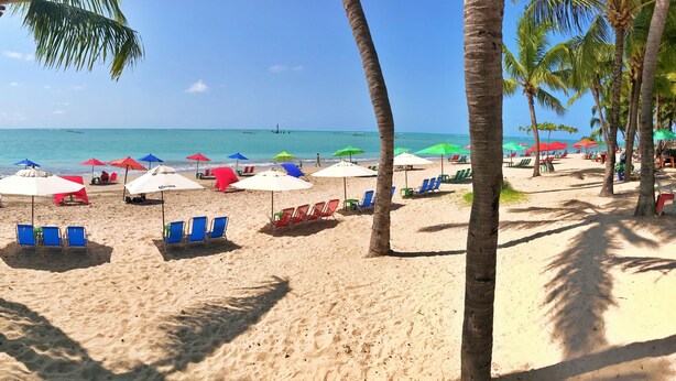 A beach with palm trees, umbrellas, and beach chairs. - Vacanze - Monteverdi (Maceió)