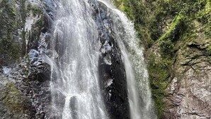 Une cascade d’eau qui dévale des rochers et se jette dans un bassin entouré d’une végétation luxuriante.