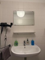 A bathroom with a sink, mirror, and hairdryer.