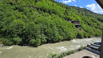 Apartment, 2 Bedrooms, Balcony, River View | Property grounds