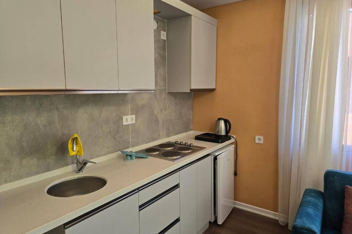 Departamento, 2 habitaciones, balcón, vista al río | Cocina privada | Refrigerador, parrilla de estufa y utensilios de cocina