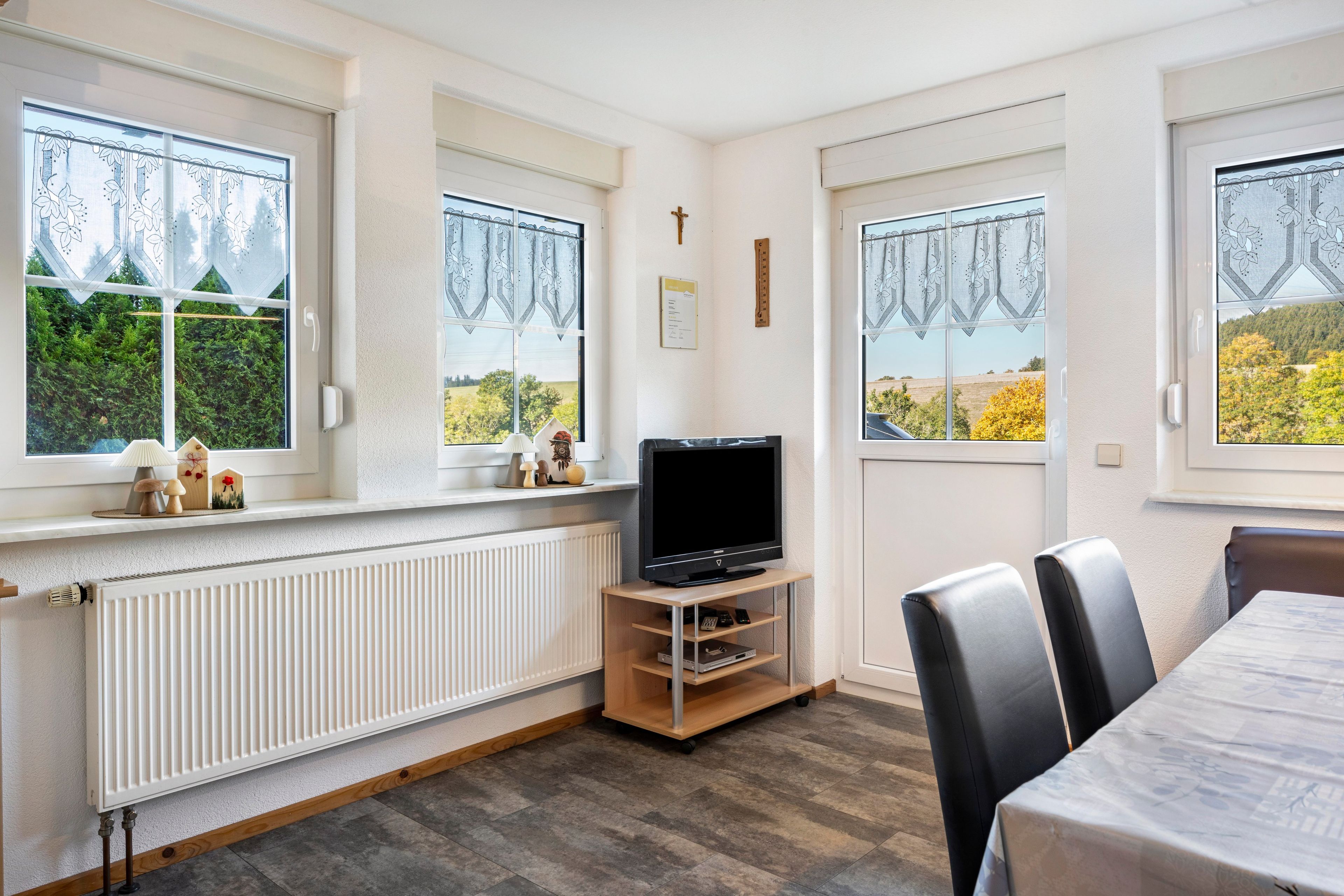 A room with a TV on a wooden stand, a radiator, and a window with a view of greenery.