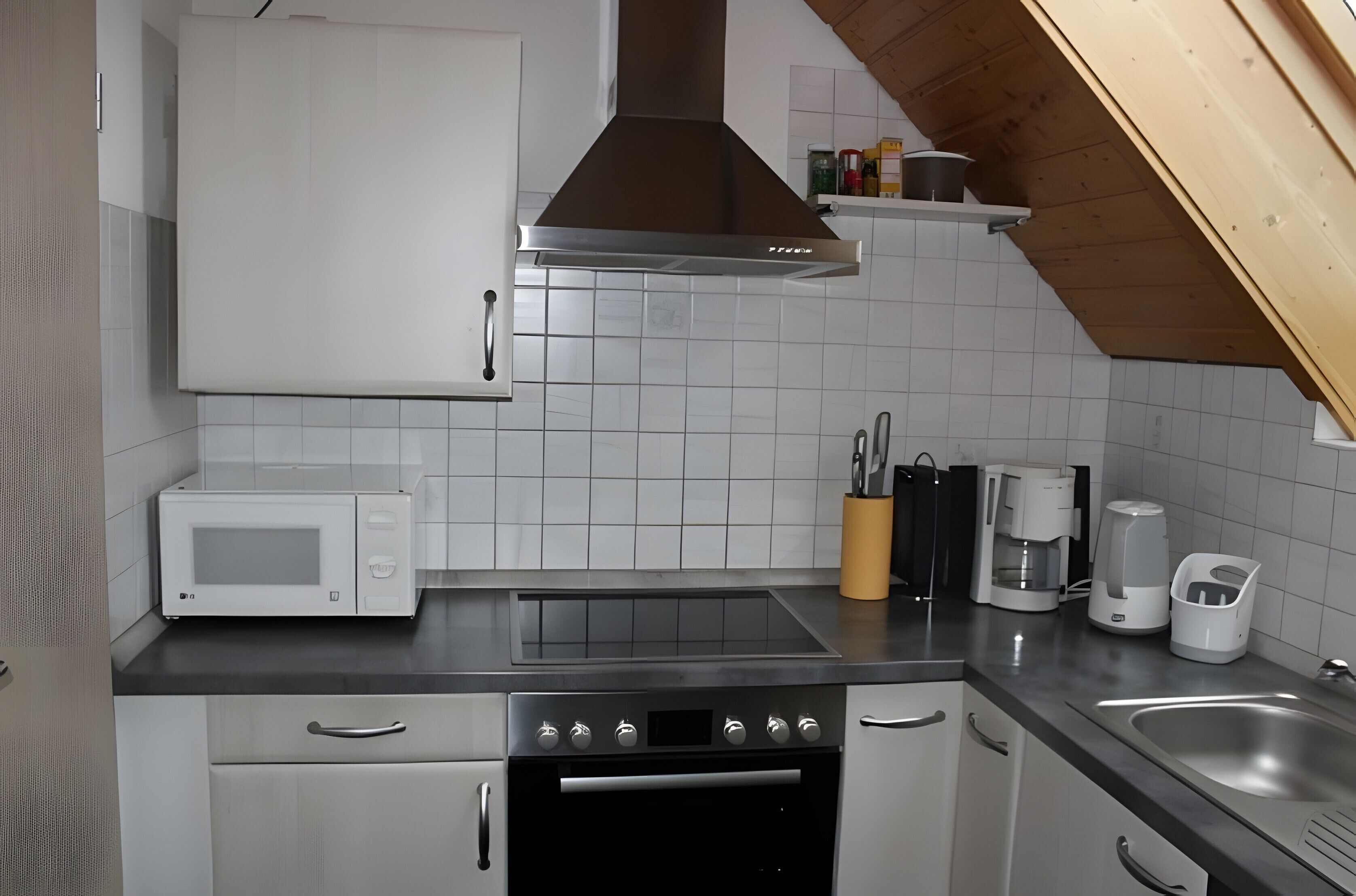 Kühlschrank, Mikrowelle, Herdplatte, Geschirrspüler