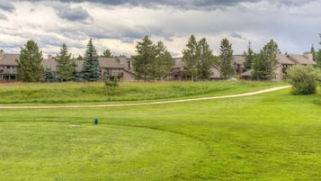 A residential area with houses, a grassy field, and a path.
