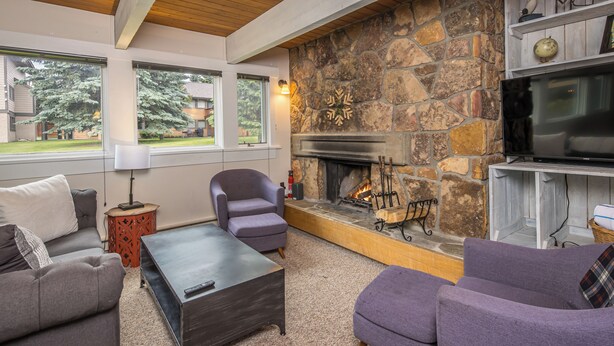 A living room with a stone fireplace, a television, and a view of the outdoors.