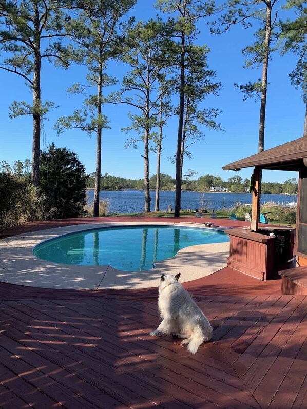 A pool with a wooden deck and a dog sitting by the pool.