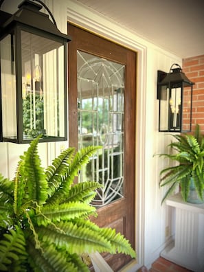 A door with a glass panel, a lantern, and a potted plant.