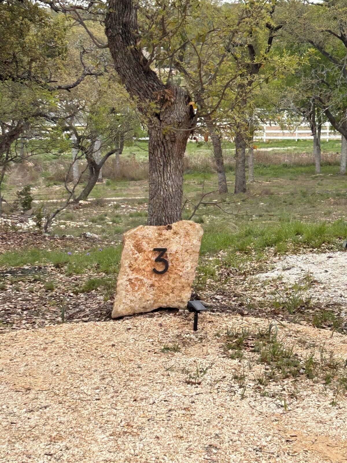 Ett träd med en stor sten som är markerad med siffran 3, omgivet av grus och gles gräsmatta.