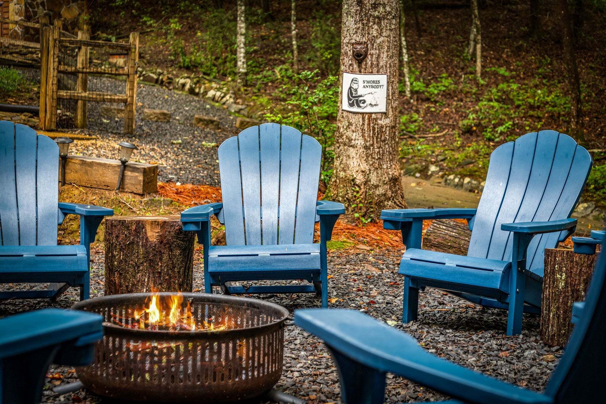 A campsite with three blue Adirondack chairs, a fire pit, and a sign on a tree.