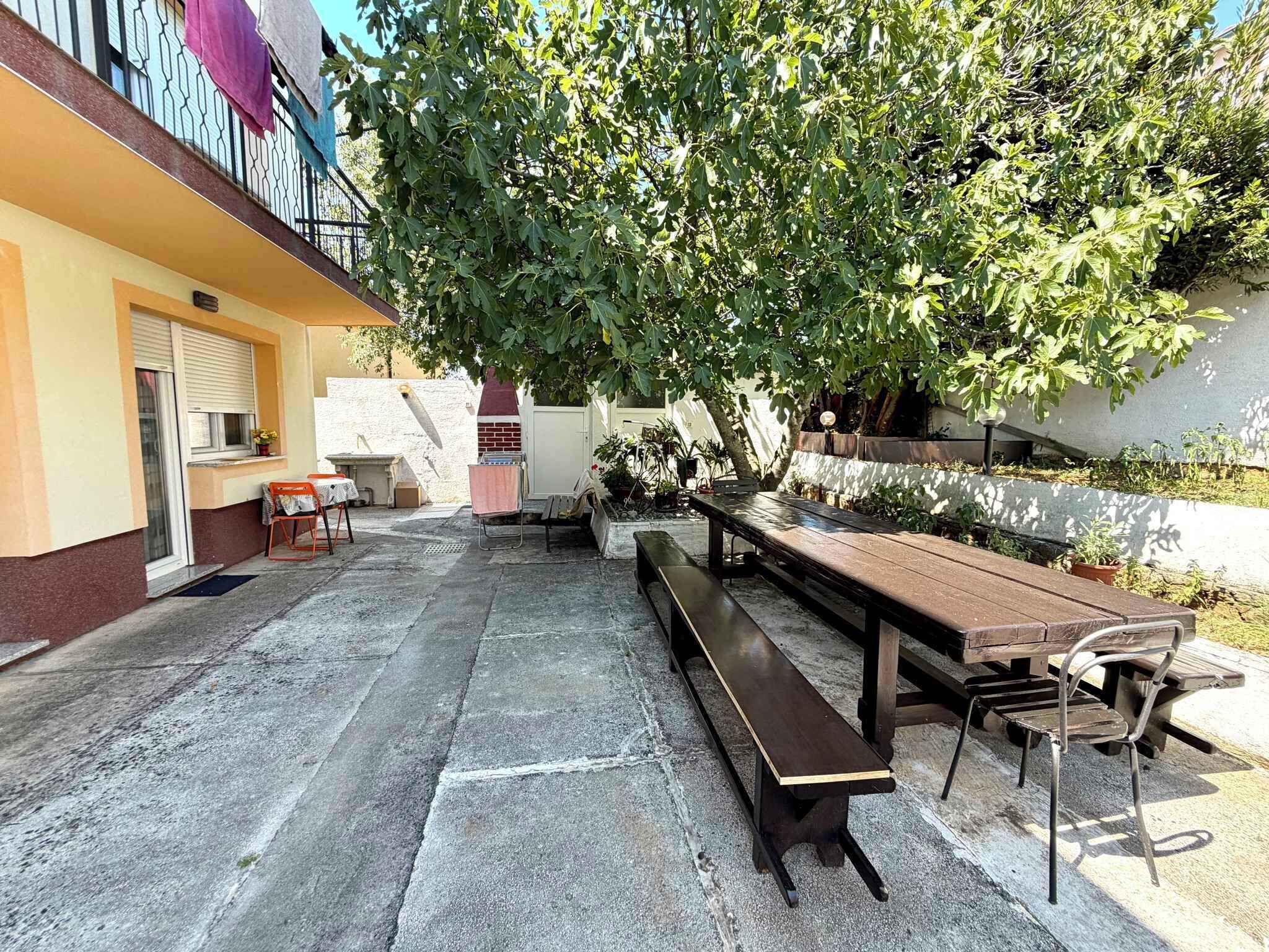 Een terras buiten met een houten tafel en banken, omgeven door potplanten en een boom.