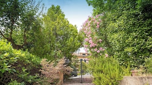 Un sendero pavimentado que atraviesa un jardín con diversas plantas y una verja de metal.