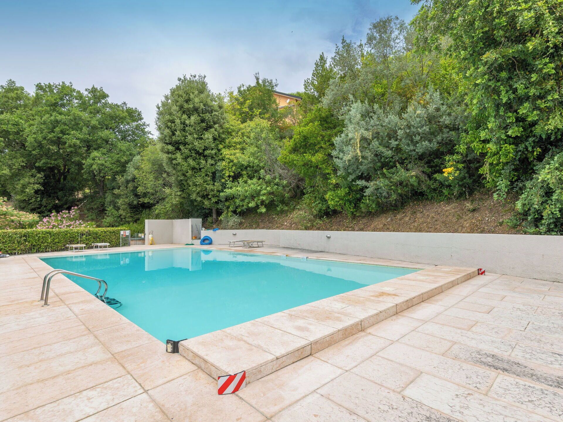 Ein rechteckiger Pool mit Fliesen umgeben, umgeben von üppiger Vegetation und Bäumen.