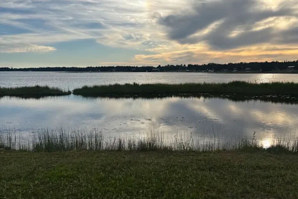 Un llac tranquil amb vores d'herba i una riba llunyana.