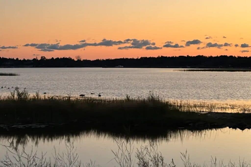 Un lac paisible au coucher du soleil, avec une ligne d’horizon bordée d’arbres.
