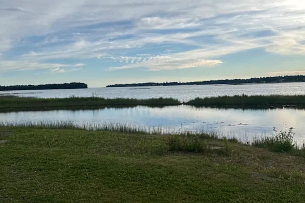A calm water body with grassy banks and a distant shoreline.