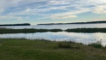 A calm water body with grassy banks and a distant shoreline.
